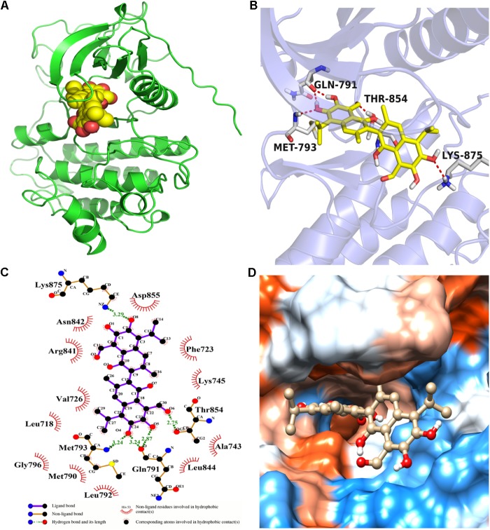 FIGURE 4