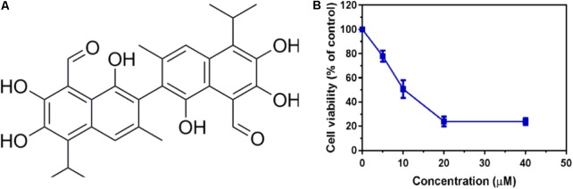 FIGURE 1