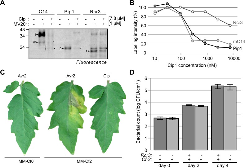 Fig 8