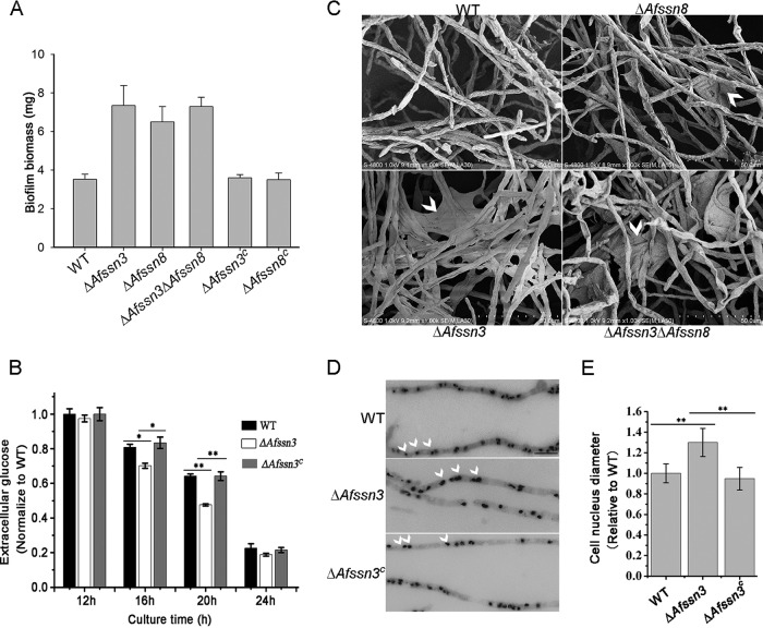 FIG 4