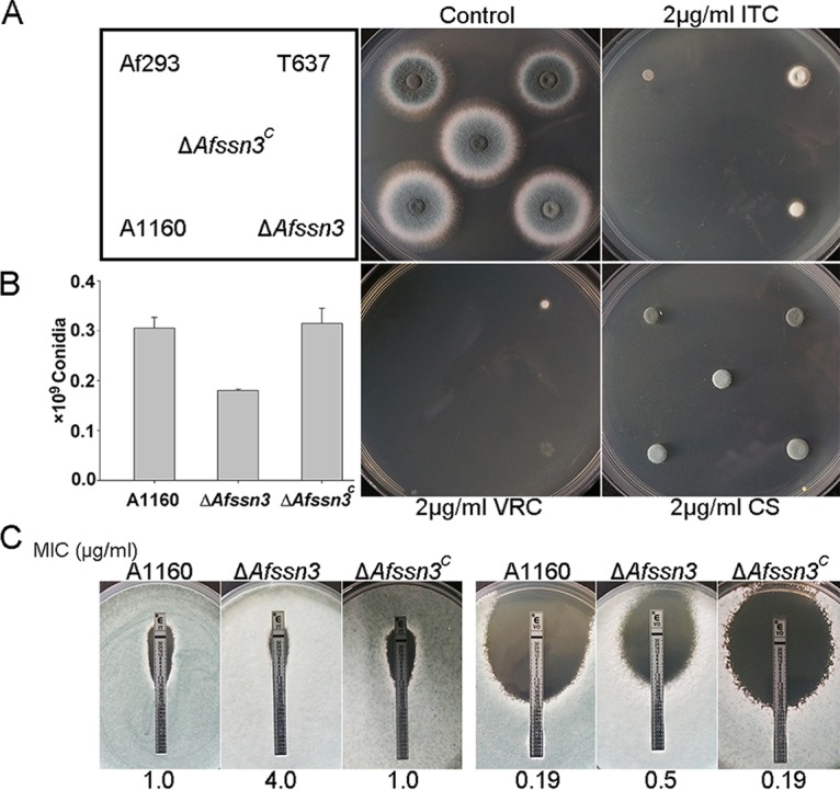 FIG 2