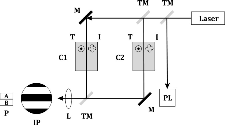 Fig. 1