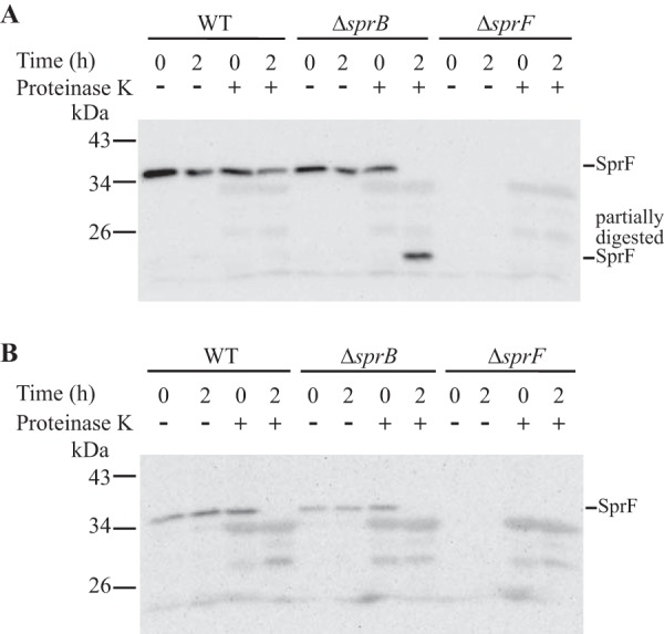 FIG 10