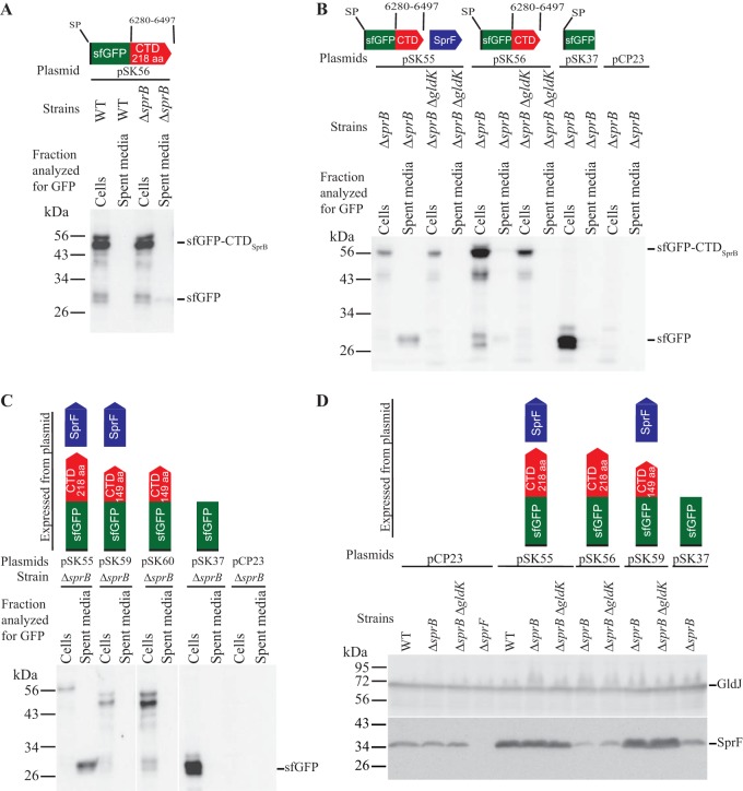 FIG 2