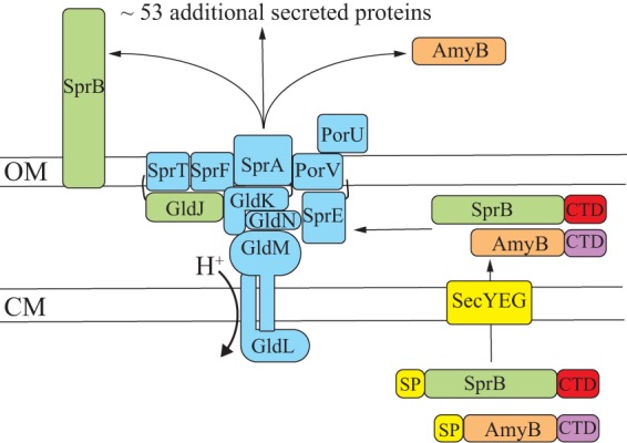 FIG 1