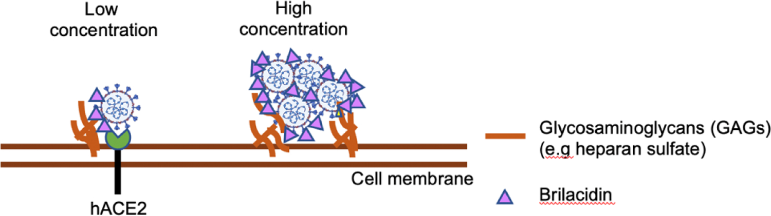 Figure 6: