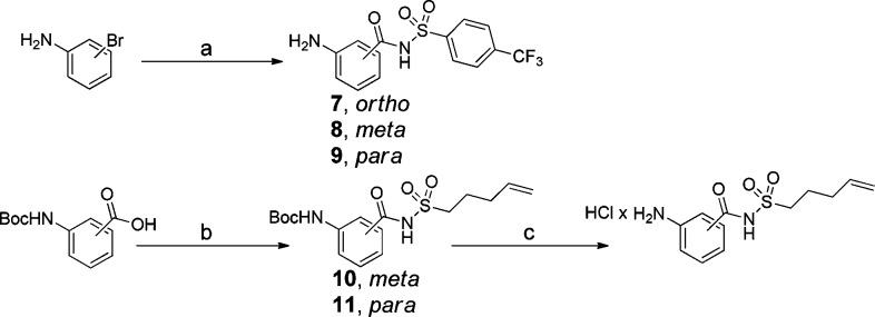 Scheme 2