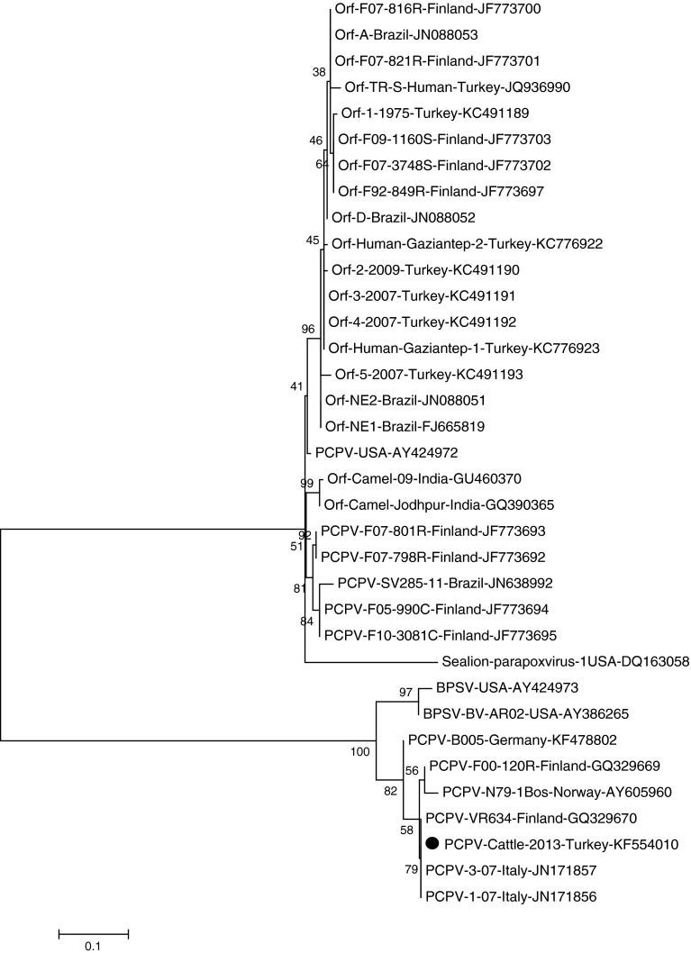 Fig. 2