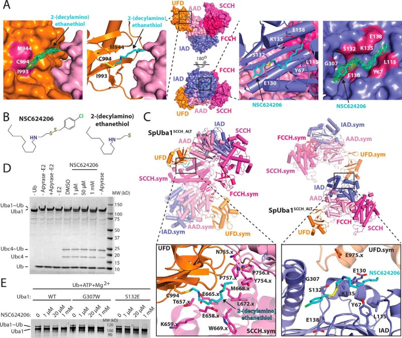 Figure 2.