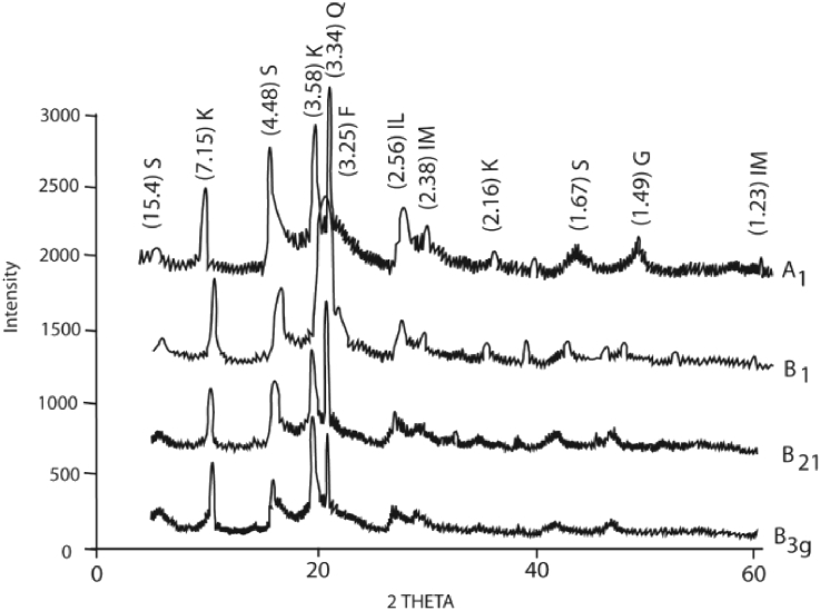 Figure 1