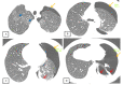 Fig 4 –