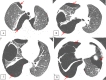 Fig 6 –