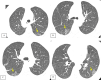 Fig 8 –