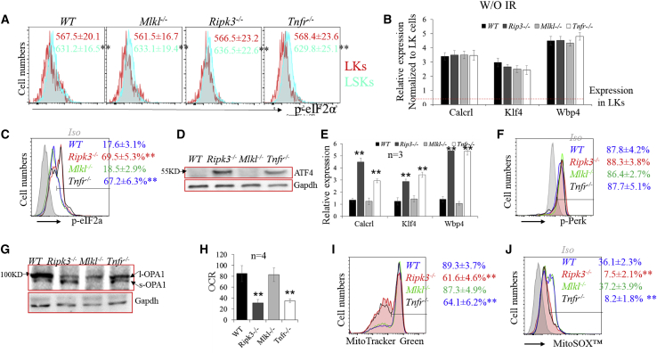 Figure 6