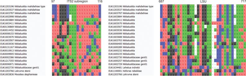 Figure 12.