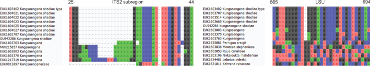 Figure 7.