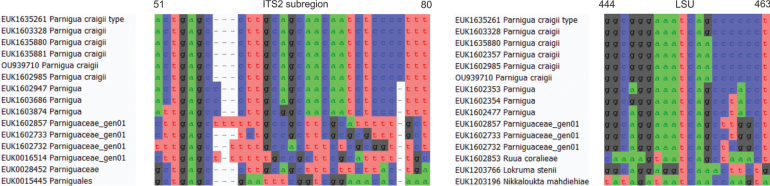 Figure 13.