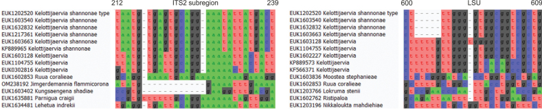 Figure 6.