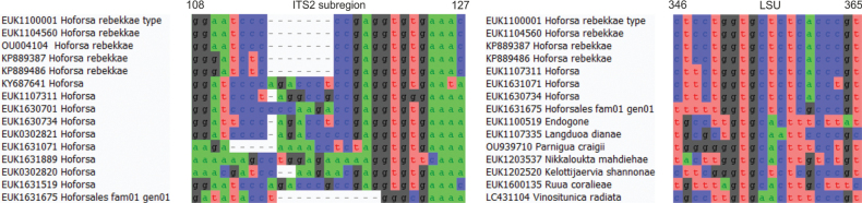 Figure 4.