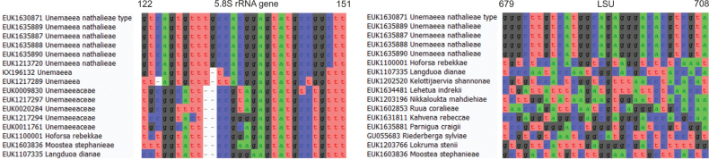 Figure 17.