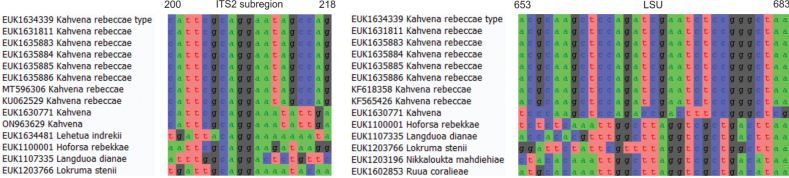 Figure 5.