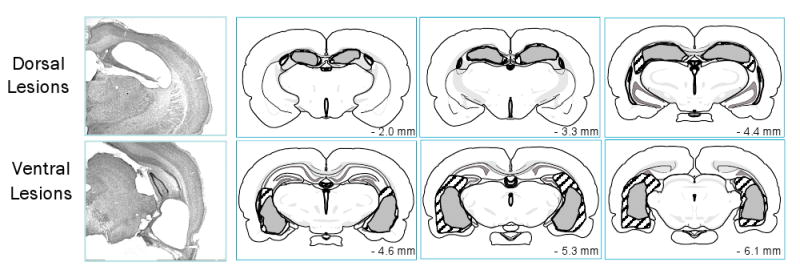 Fig.2