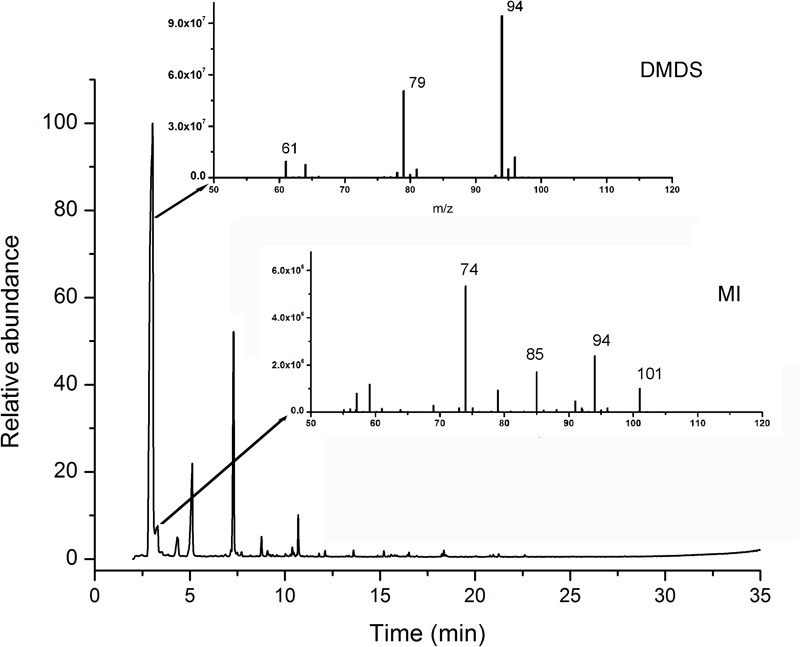 FIGURE 4