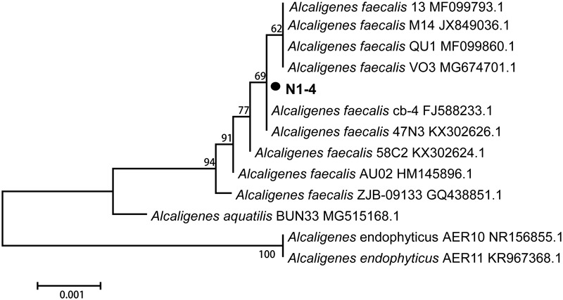 FIGURE 3