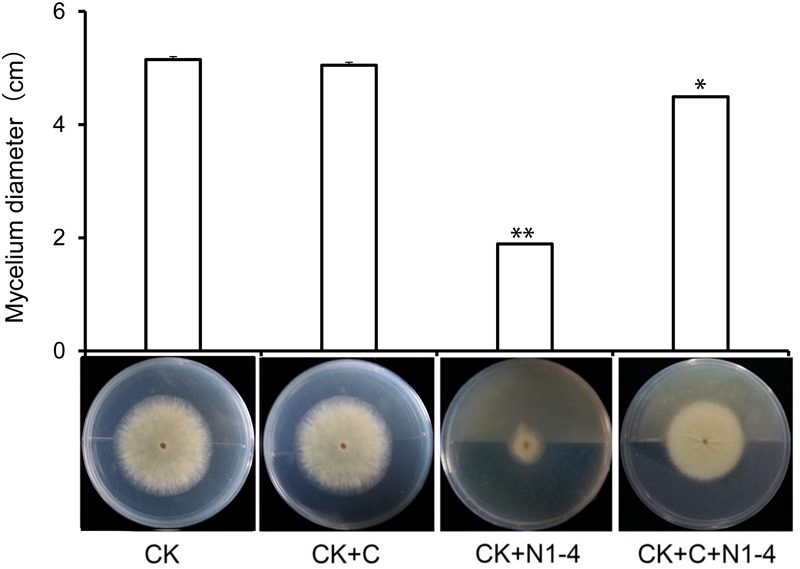 FIGURE 2