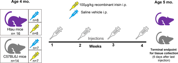 FIGURE 1