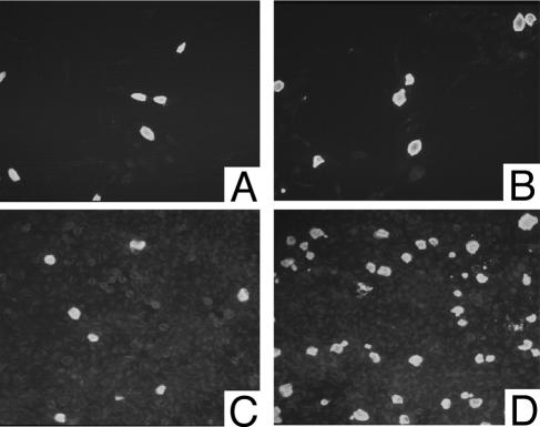 FIG. 8.