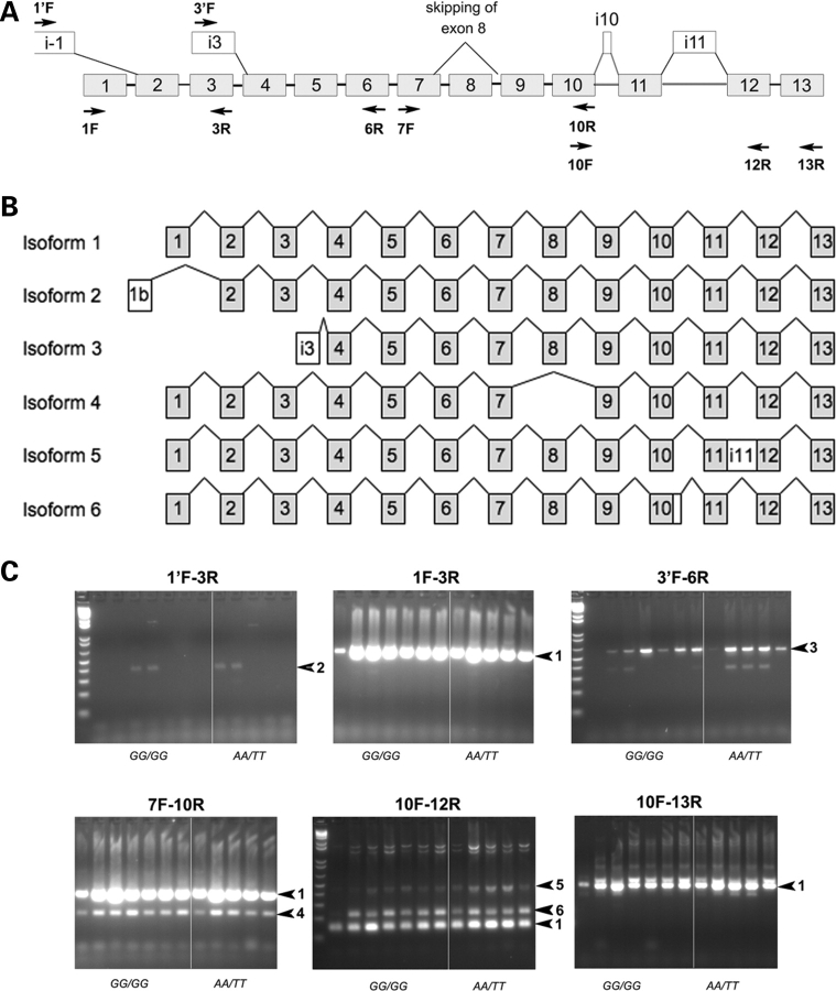 Figure 2.