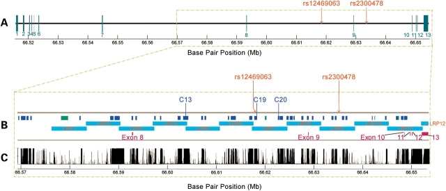 Figure 1.