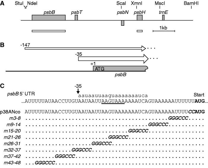 Figure 2.