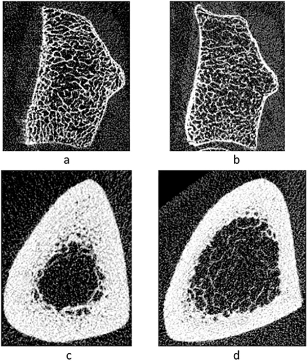 Figure 4: