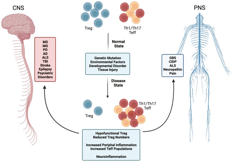 Graphical Abstract