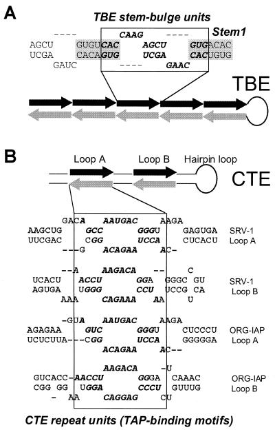 FIG. 3