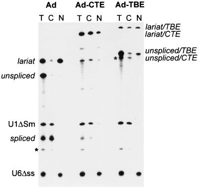 FIG. 5