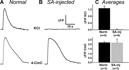 Figure 6.