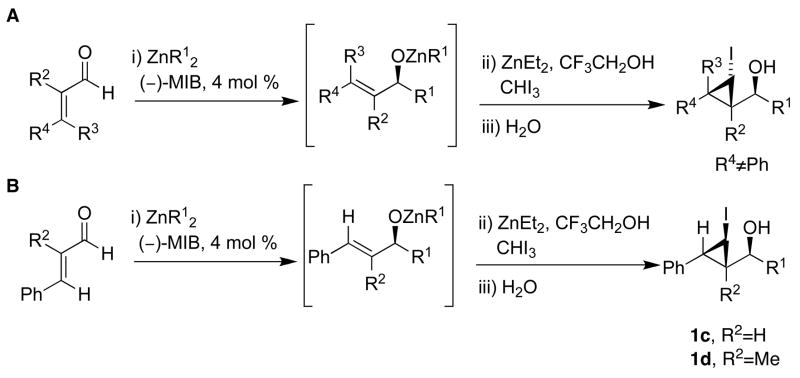 Scheme 5