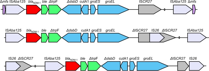 FIG 2