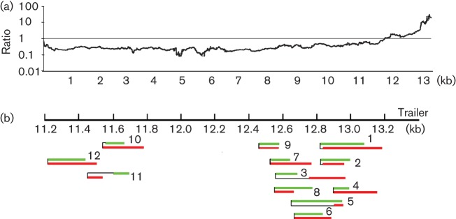 Fig. 2. 