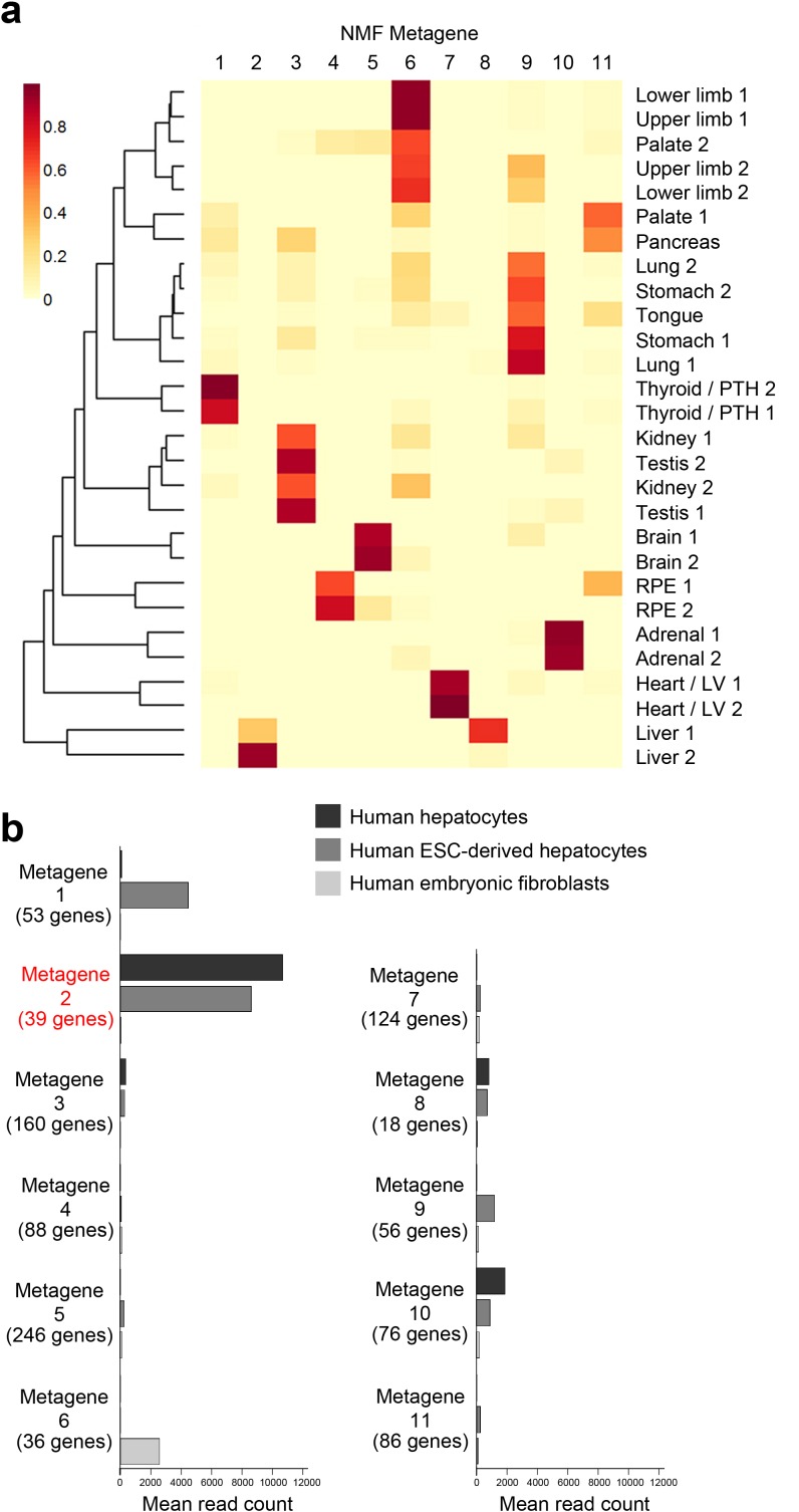 Figure 1—figure supplement 5.