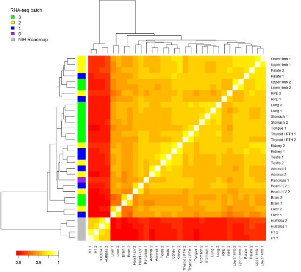 Figure 1—figure supplement 4.