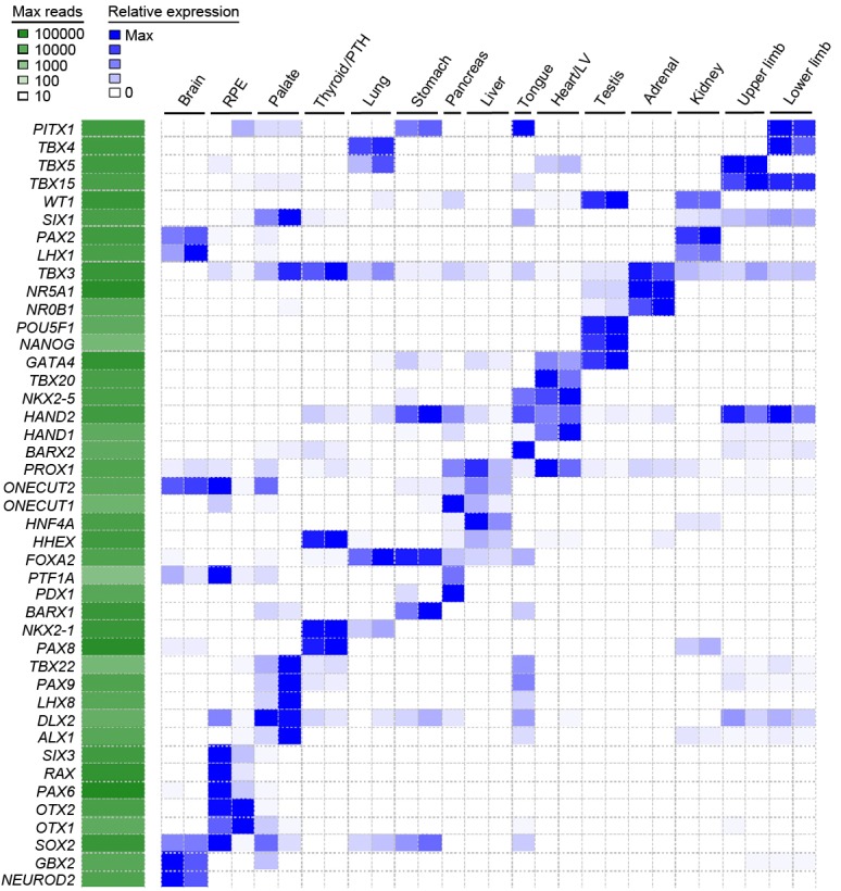 Figure 1—figure supplement 2.