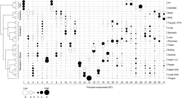 Figure 2—figure supplement 1.