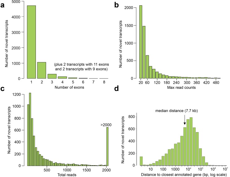 Figure 4—figure supplement 1.