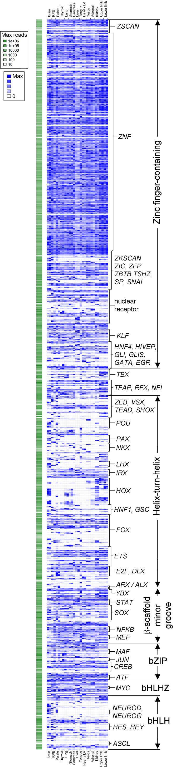 Figure 1—figure supplement 1.