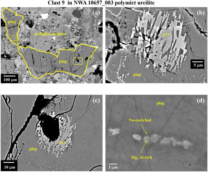 Fig. 12.