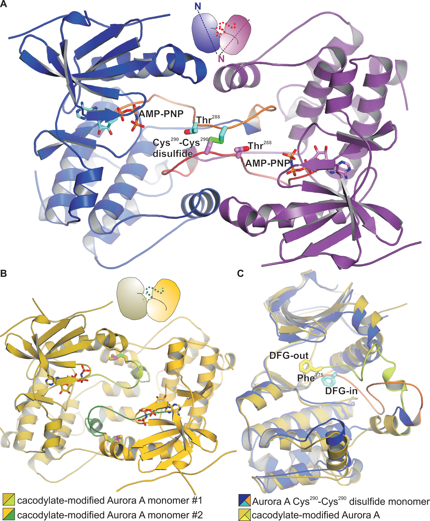 Fig. 7.